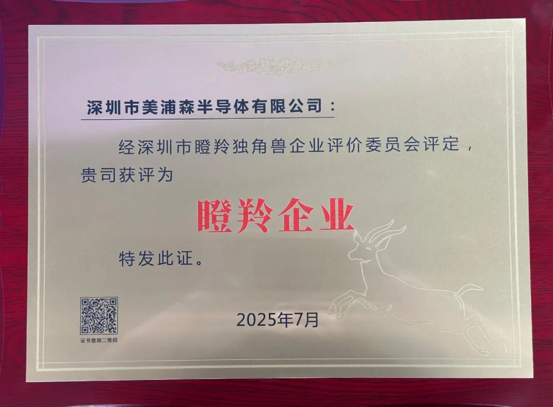 荣誉证书4